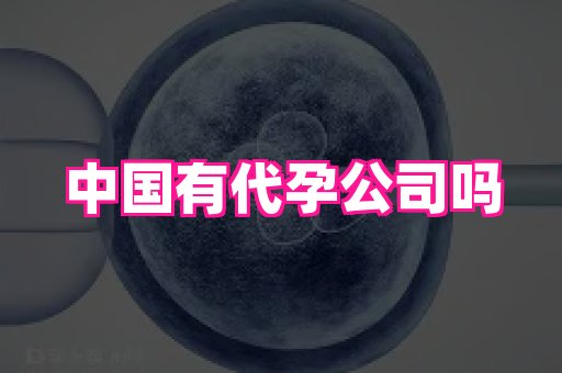 武汉助孕网站 2